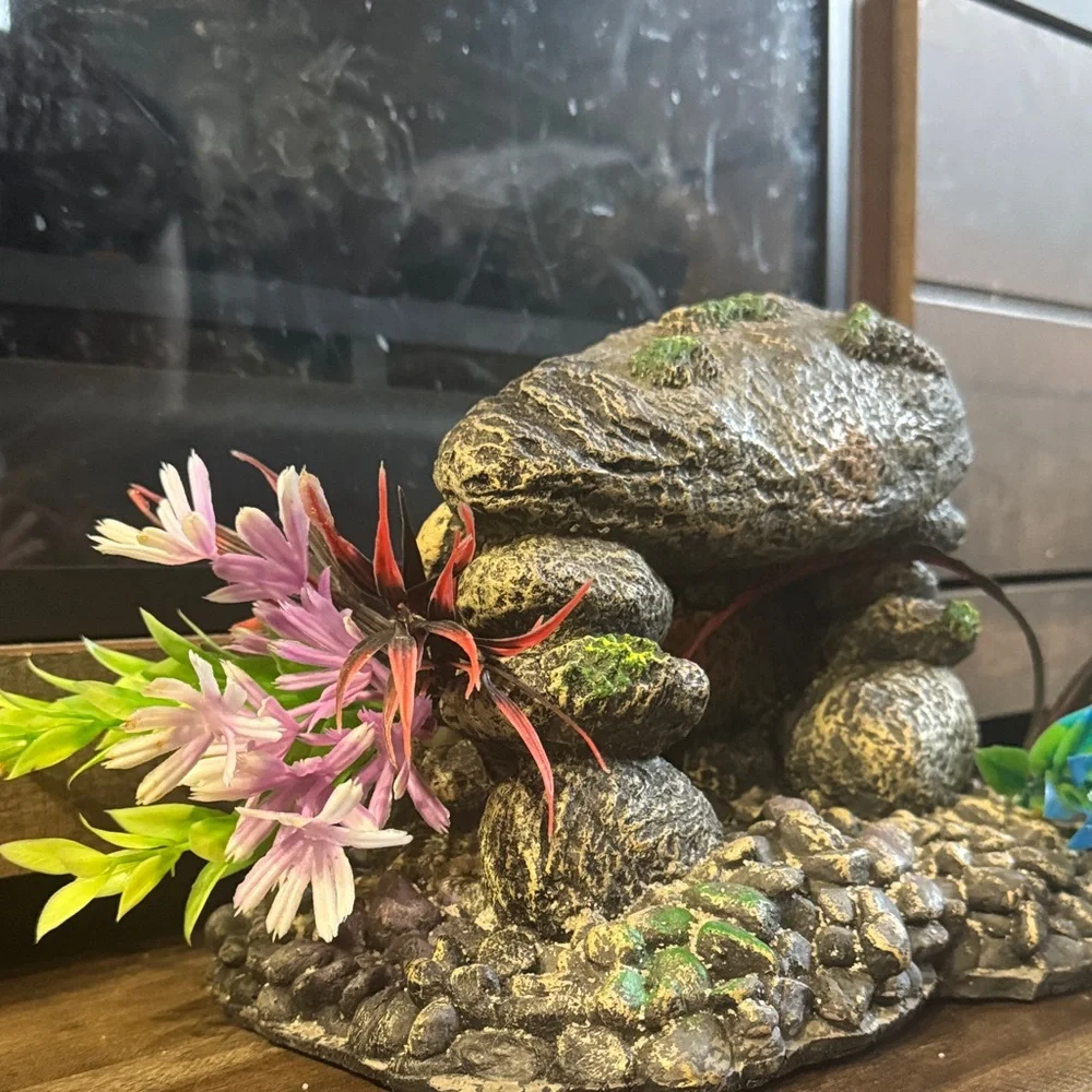 Decorative Aquarium Rock with Plants